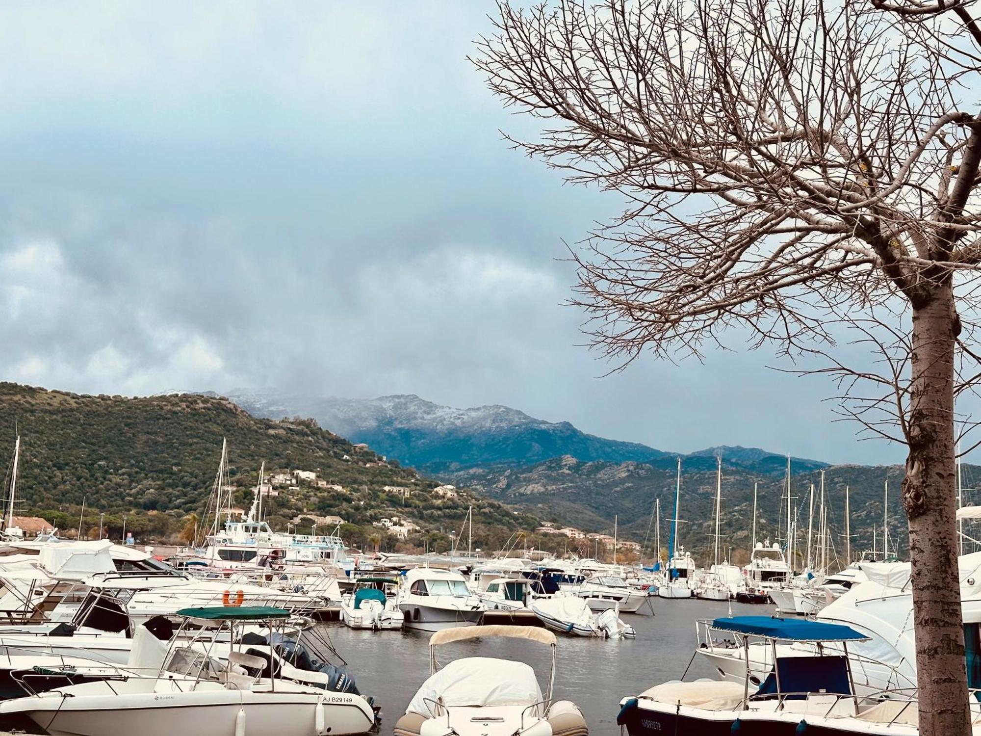 Hotel Restaurant L'Europe Saint-Florent  Dış mekan fotoğraf